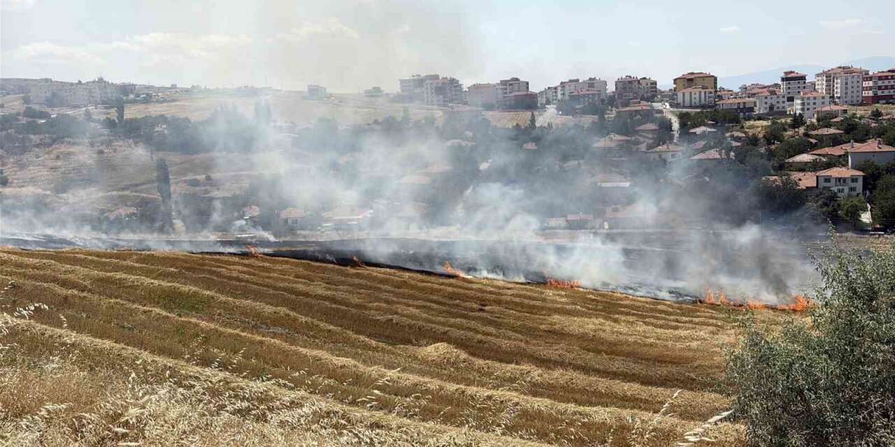 Çorum’da korkutan örtü yangını: 40 dönüm alan zarar gördü