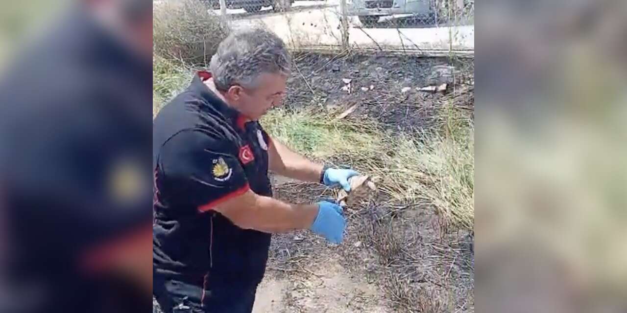 İtfaiye ekipleri yangından kurtardıkları kaplumbağayı suyla serinletti