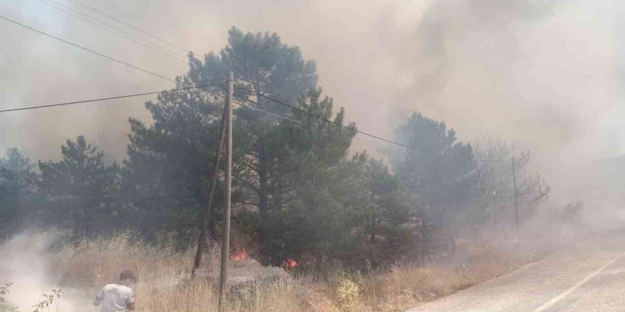 Üç ayrı yangında bin dönümden fazla arazi zarar gördü