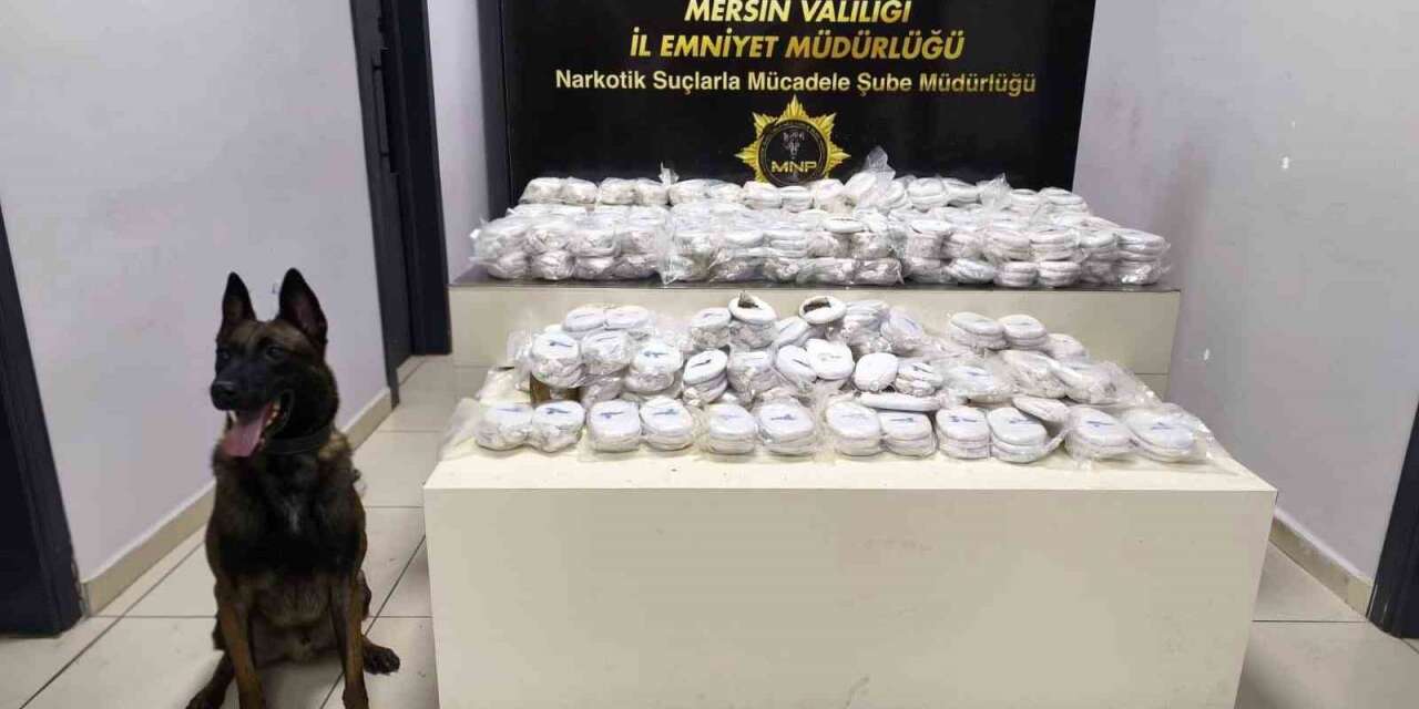 Piyasa değeri 13 milyon 960 bin lira olan 3 kilo 490 gram kokain ele geçirildi