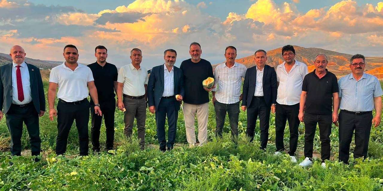 Delice Kara Kavunu’nda İlk Hasat Gerçekleşti