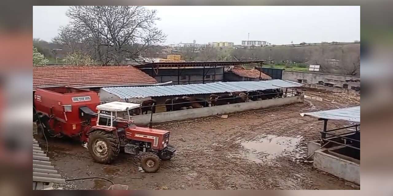 Kırşehir’de kayıp hayvanlarını ararken acı gerçekle karşılaştı
