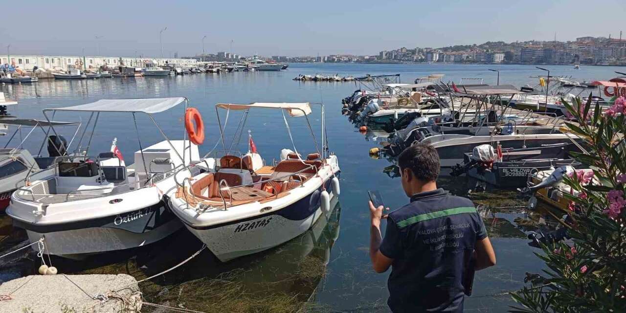 Yalova’da atık suları arıtmadan deşarj eden belediyeye 7,9 milyon lira ceza