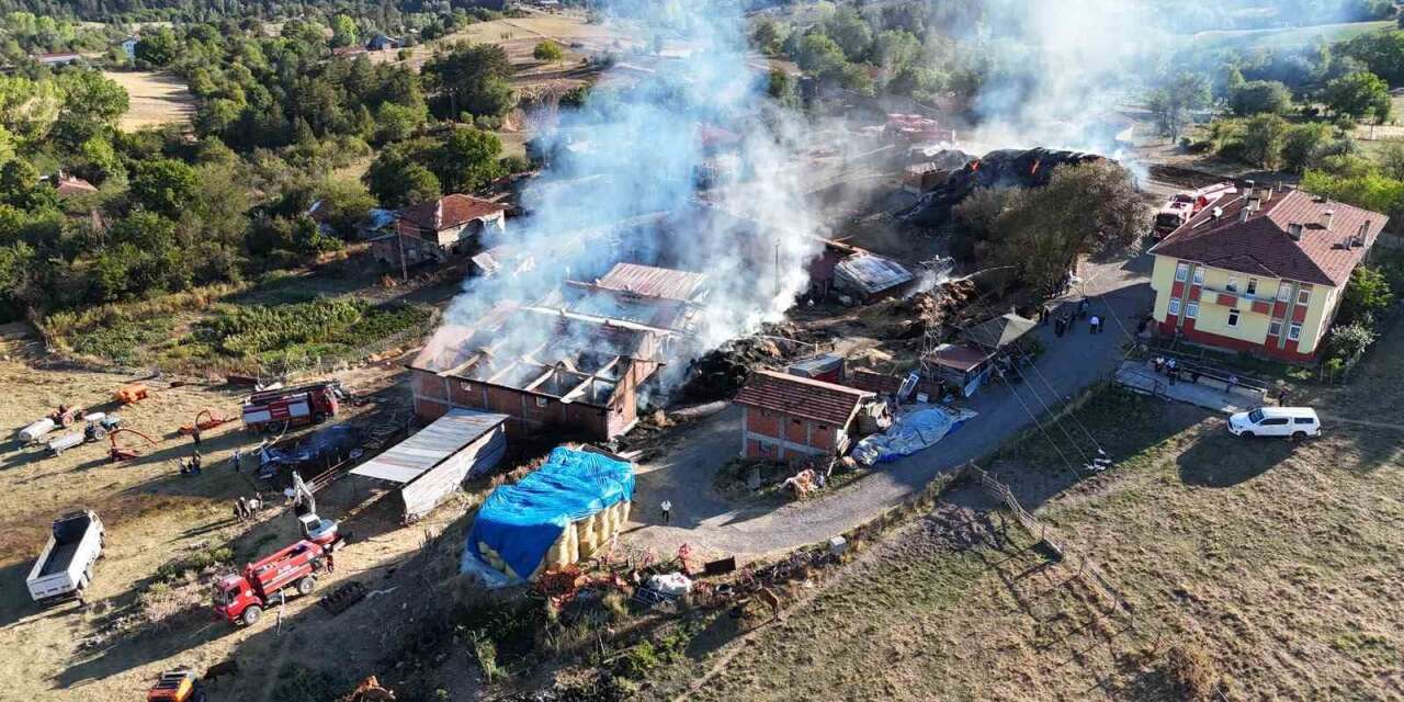 Kastamonu’da 14 büyükbaş hayvanın telef olduğu yangın söndürüldü