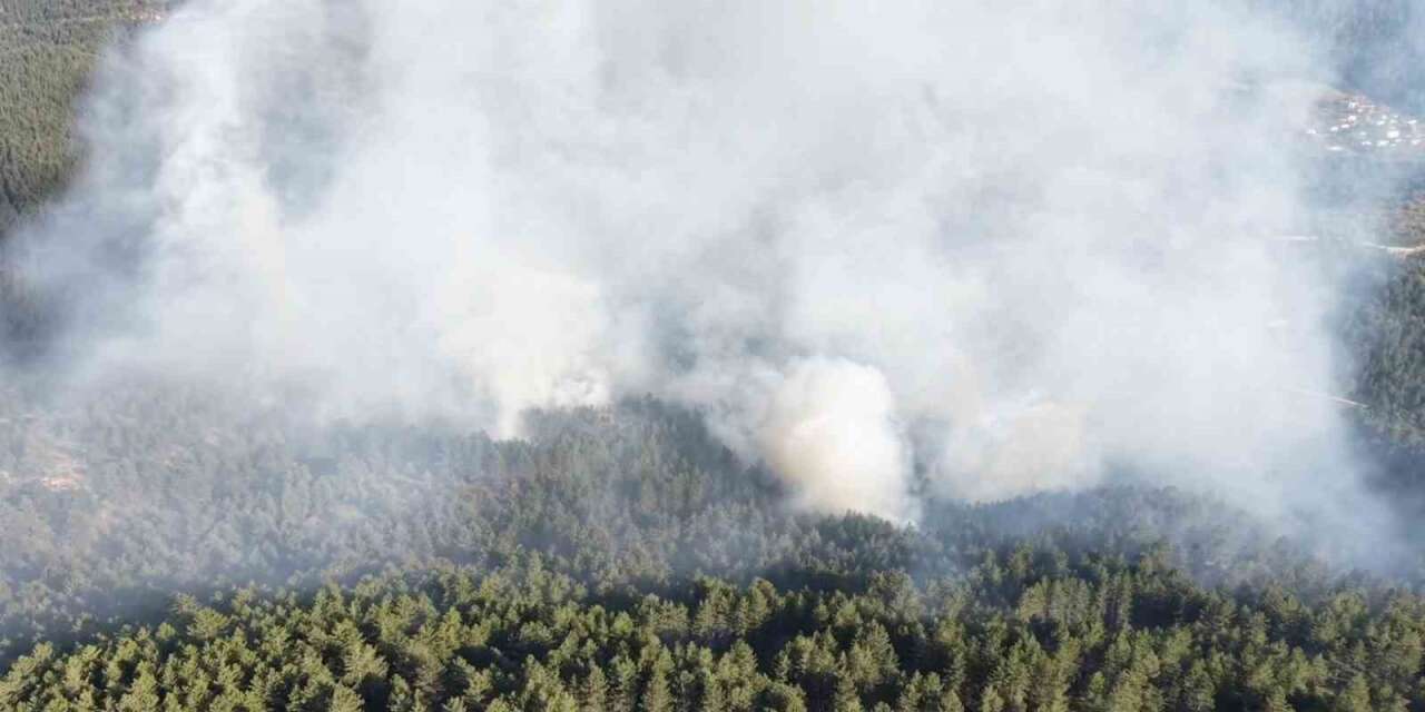 Kastamonu’da çıkan orman yangını kontrol altına alındı