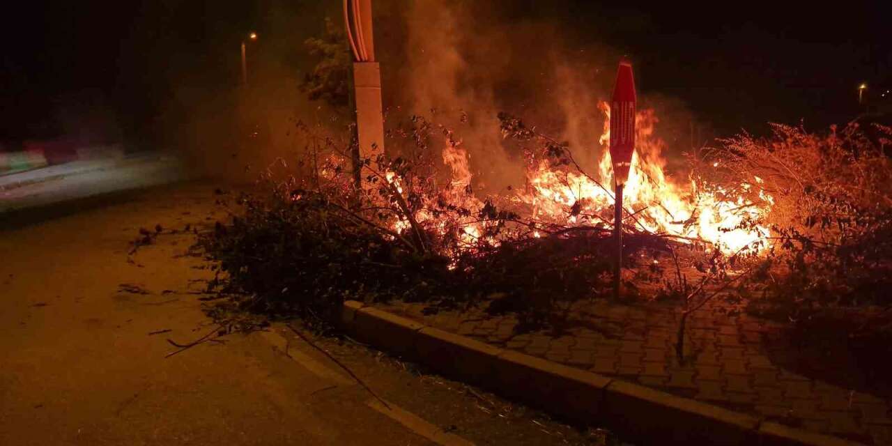 Alaca’da çıkan örtü yangını söndürüldü
