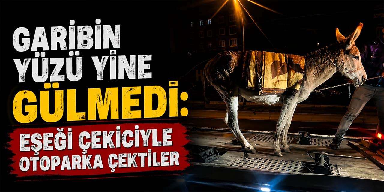 Garibin yüzü yine gülmedi: Eşeği çekiciyle otoparka çektiler