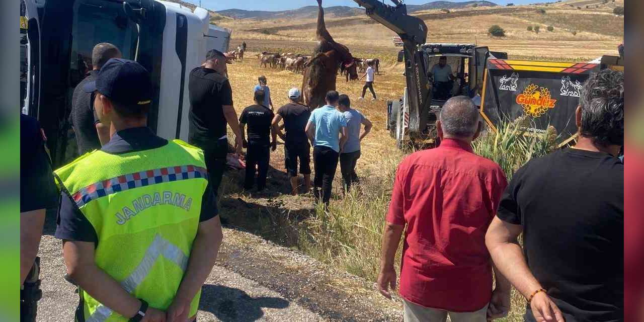 Boztepe’de hayvan yüklü tır yan yattı