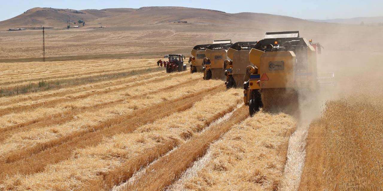 Tarımda yeni dönem: Sulak alanlarda izin şartı getirildi
