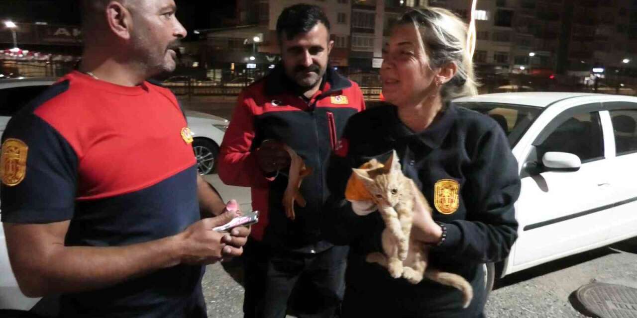 Yozgat’ta aracın motorunda mahsur kalan yavru kediyi itfaiye kurtardı