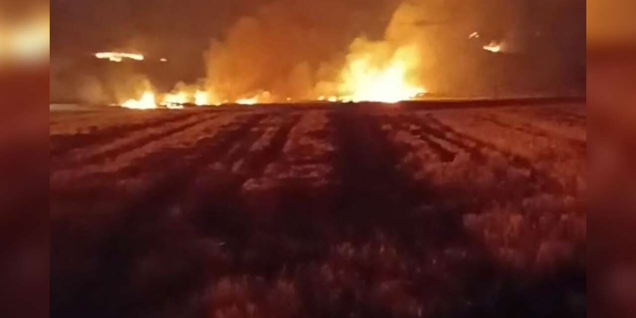 Yozgat’ta bin 500 dönüm arazi yandı