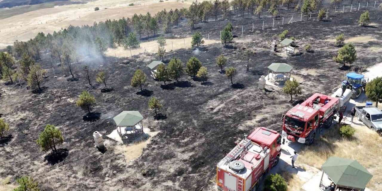 Çorum’da örtü yangını ormana sıçradı, 800 dönüm alan yandı