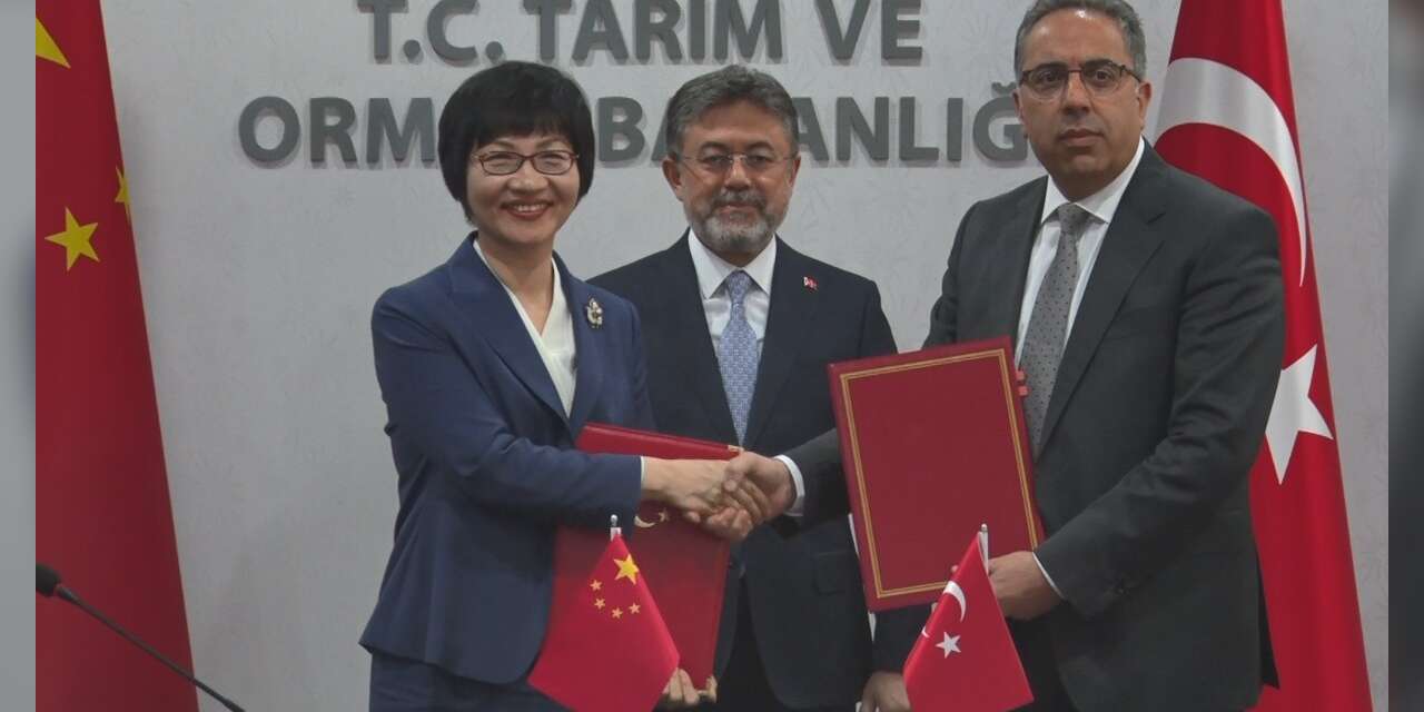 Defne yaprağı ihracatında Çin’le yeni dönem: Yıllık 60 milyon dolarlık ihracat