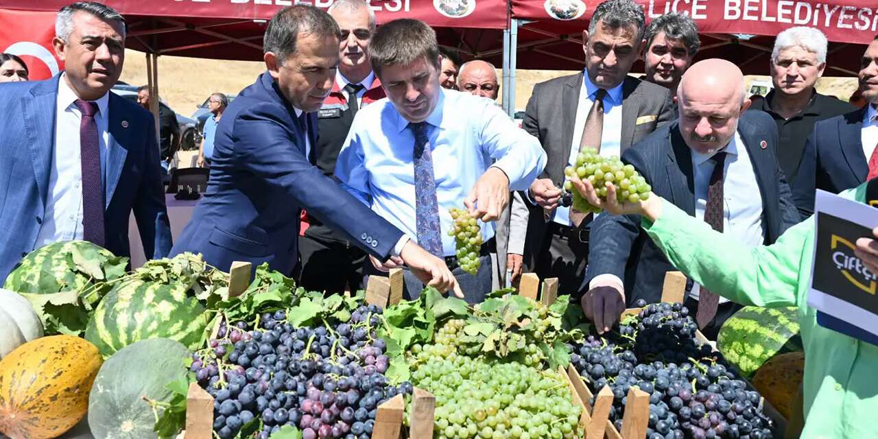 Delice’de üzüm hasadı yapıldı, pekmez kaynatıldı