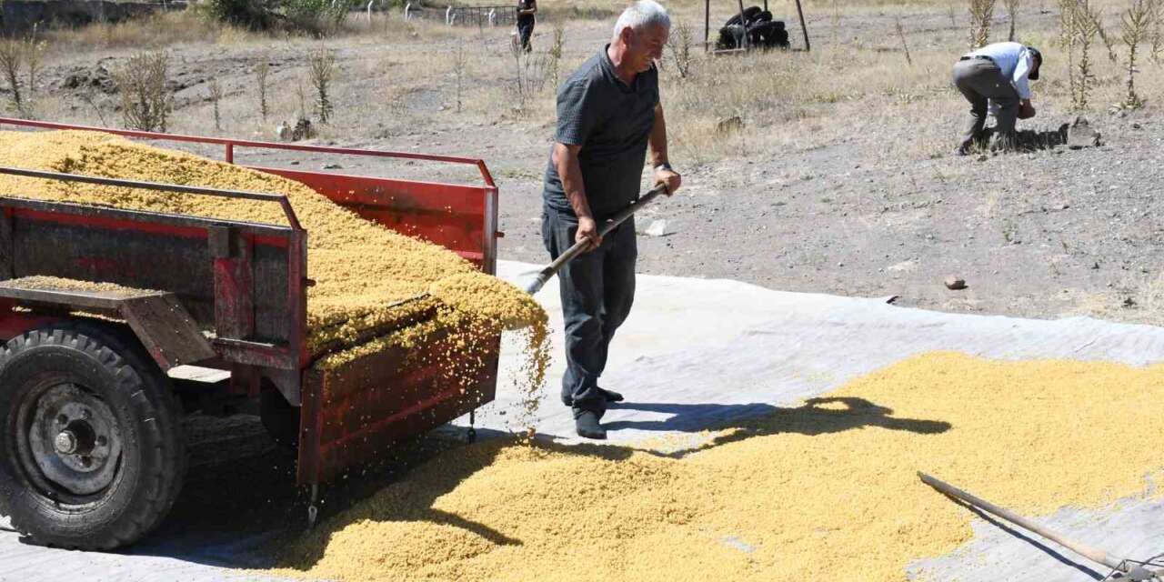 Ata mesleğini geleneksel yöntemlerle sürdürüyor, 41 yıldır bulgur üretiyorlar