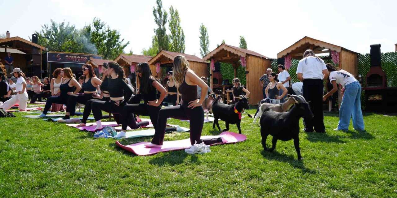 Ankara’da spora cüce keçiler de eşlik etti