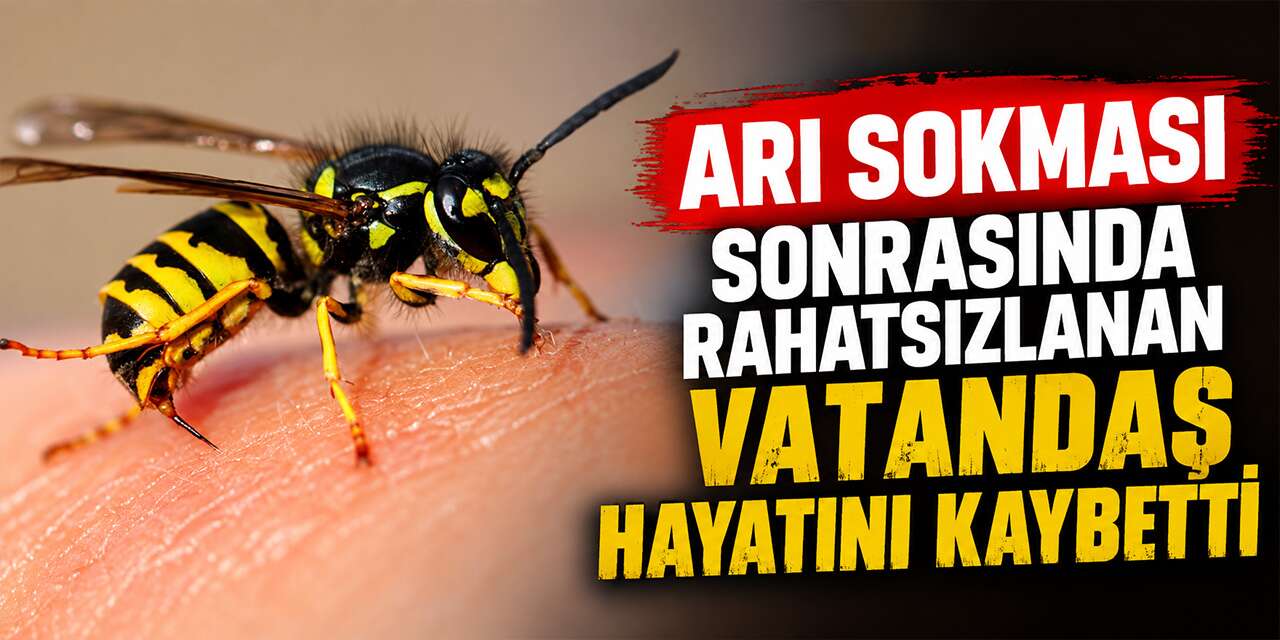 Arı sokması sonrasında rahatsızlanan vatandaş hayatını kaybetti