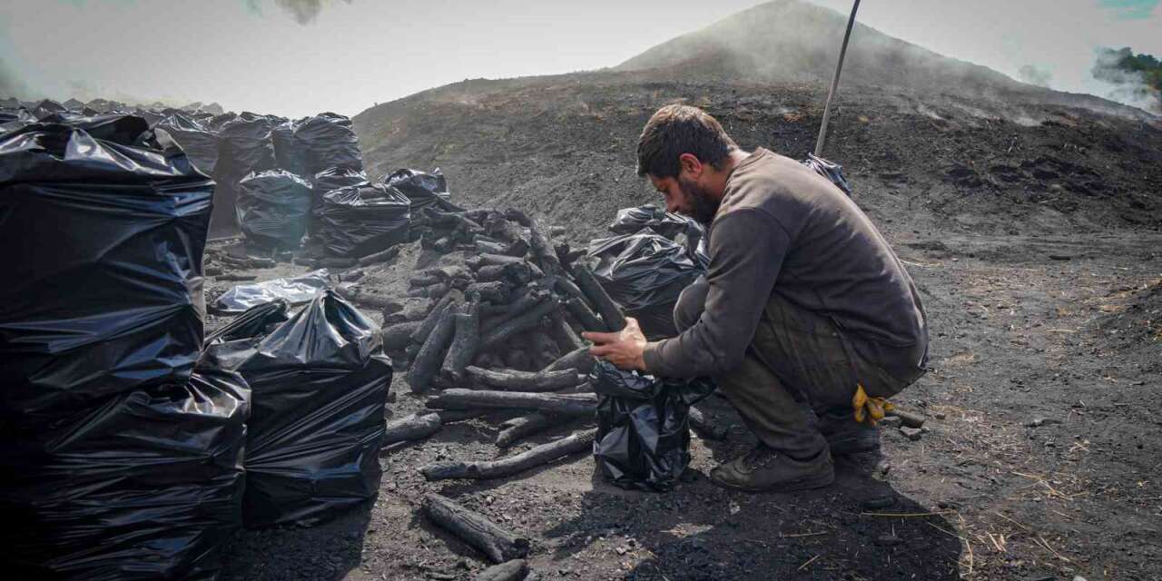 Meşe odunundan mangal kömürüne: 15 günlük zorlu mesai