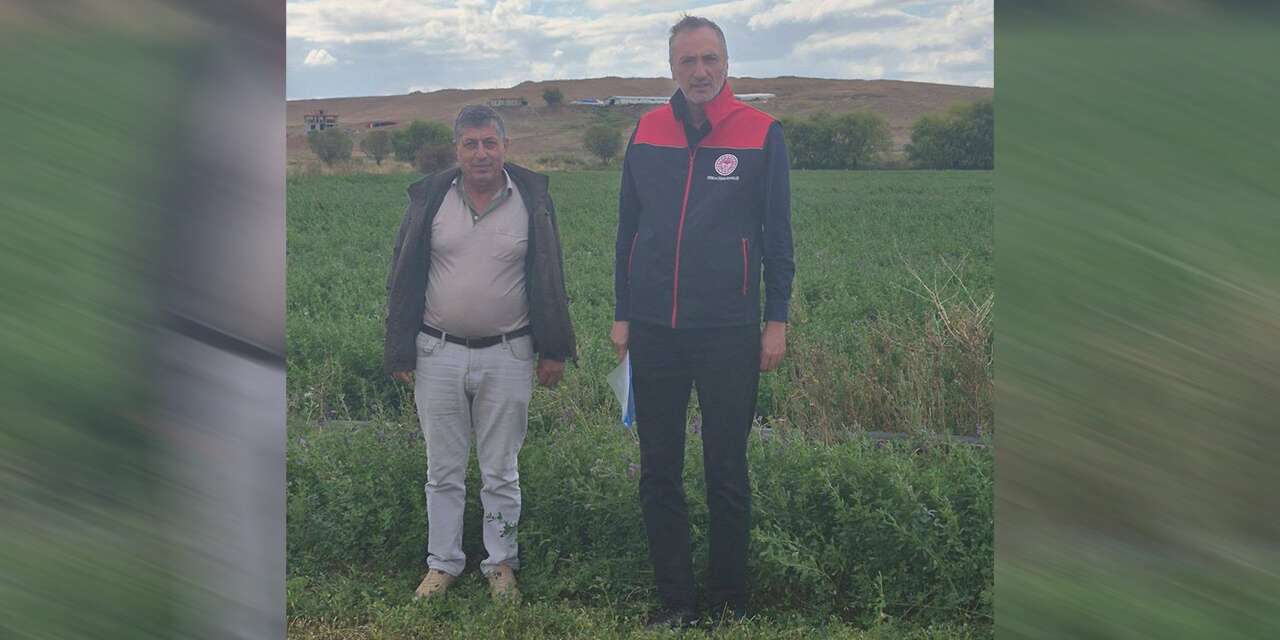 Çelebi’de yem bitkileri mercek altında: Ekipler sahaya indi