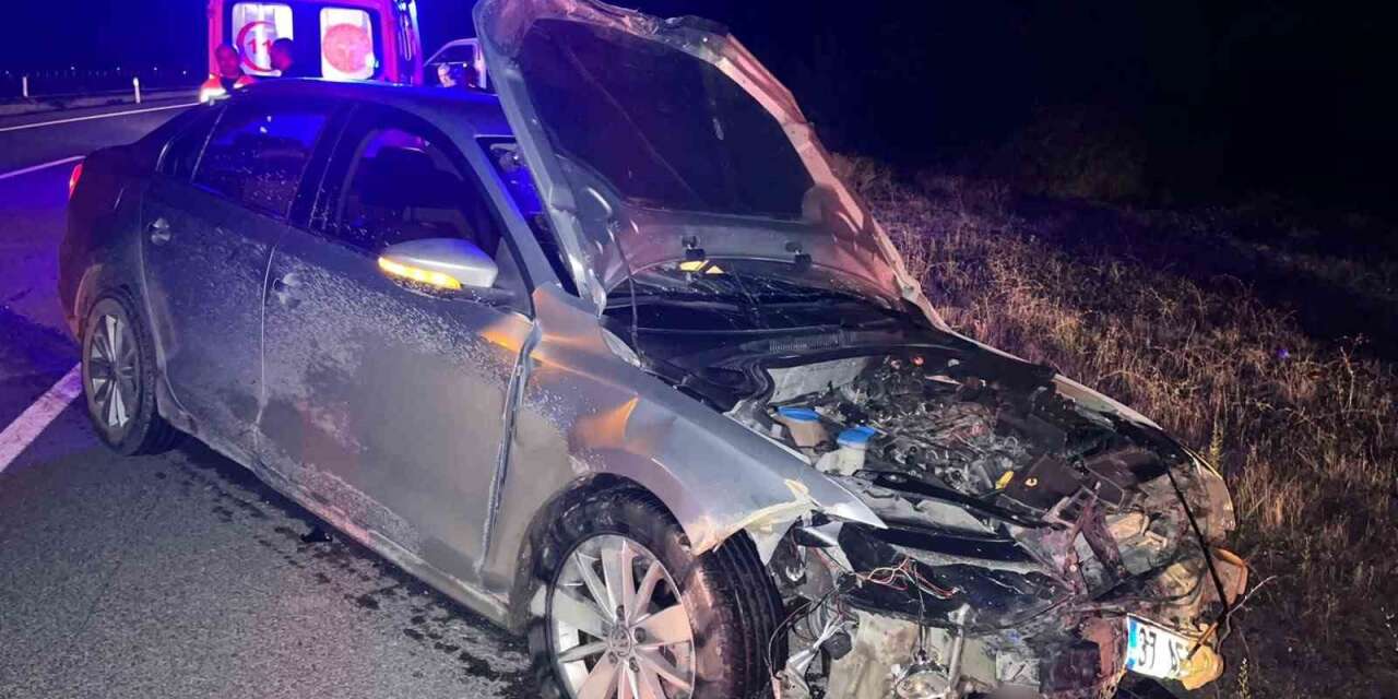 Kastamonu’da otomobil domuz sürüsüne çarptı: 2 yaralı