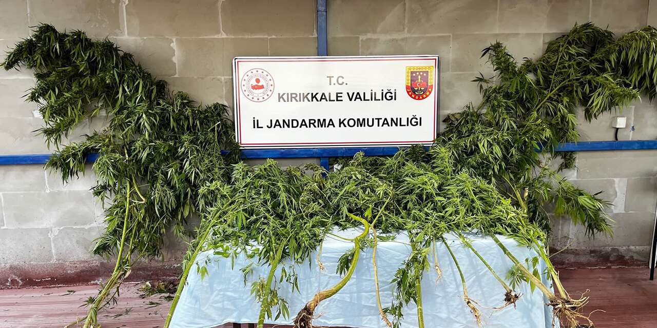 Narkotik köpeği Evin bir anda tepki verdi! Bahçeden çıkanlar şaşırttı
