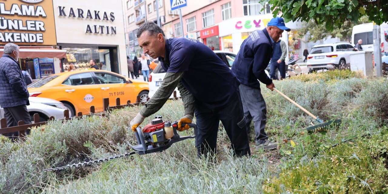 Park ve bahçelerde sonbahar mesaisi! Ekipler harekete geçti