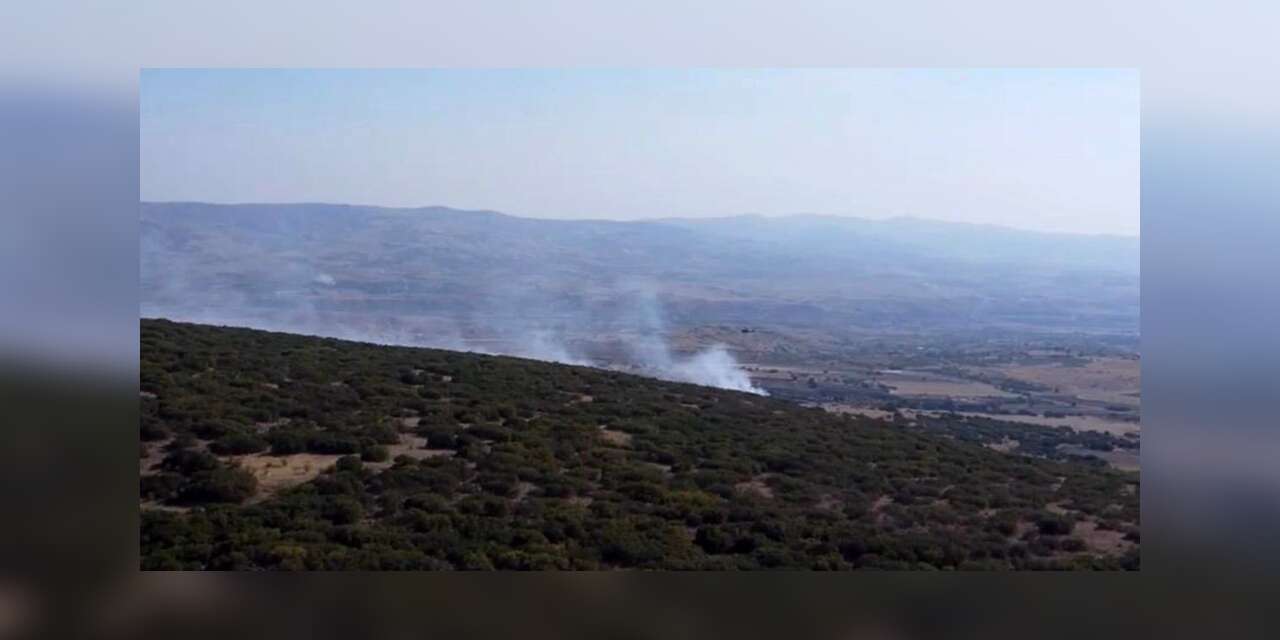 Ankara’da ormanlık alanda çıkan yangın kontrol altına alındı