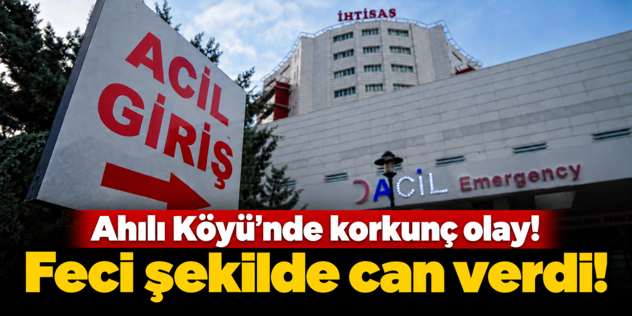 Elektrik akımına kapılan 66 yaşındaki adam hayatını kaybetti