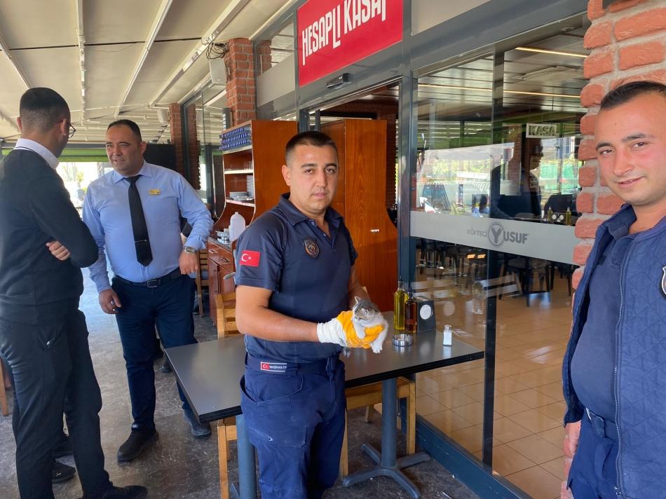 Beton direğine sıkışan yavru kedi kurtarıldı