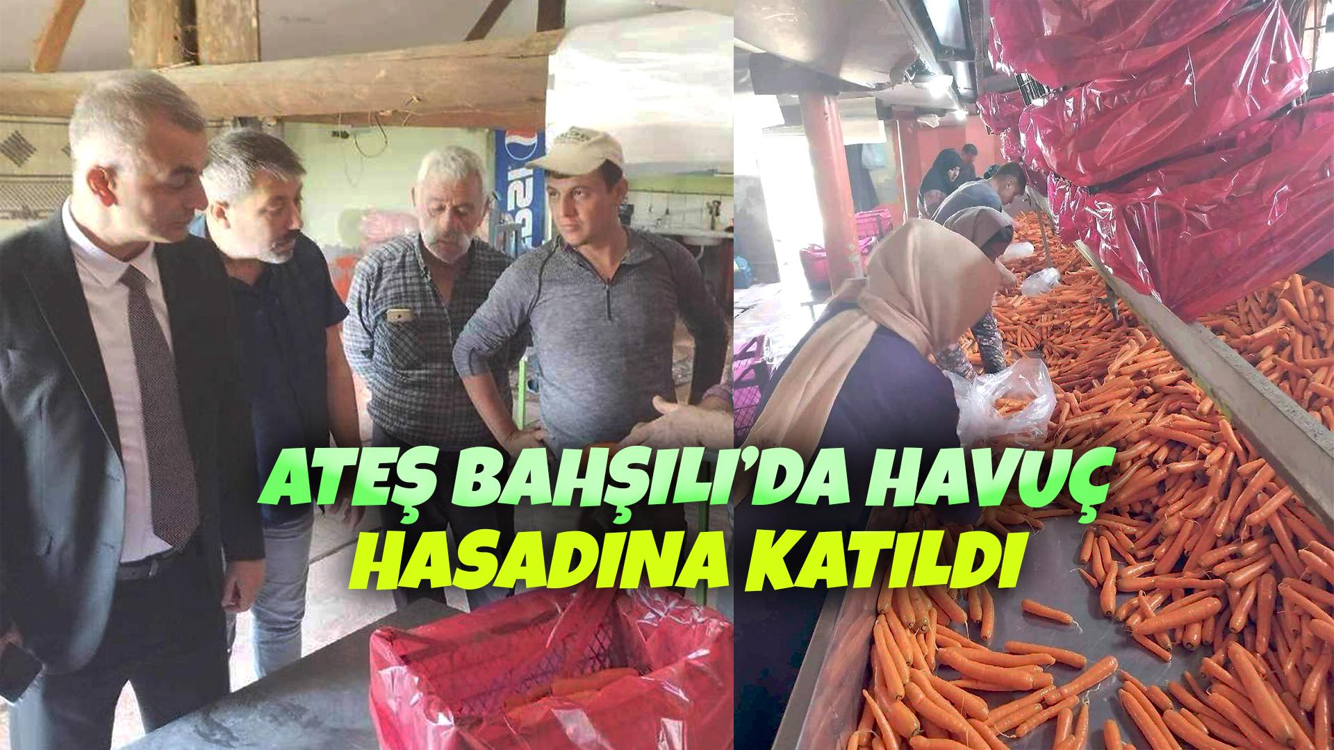 ATEŞ BAHŞILI’DA HAVUÇ HASADINA KATILDI