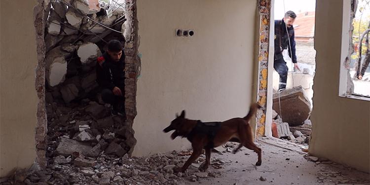 İGLO’nun görevi hayat kurtarmak!