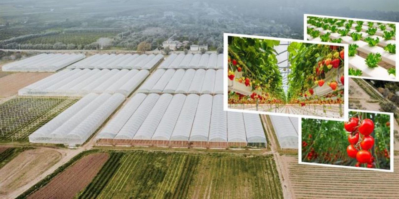 OTB’ler tarımsal üretime güç kattı