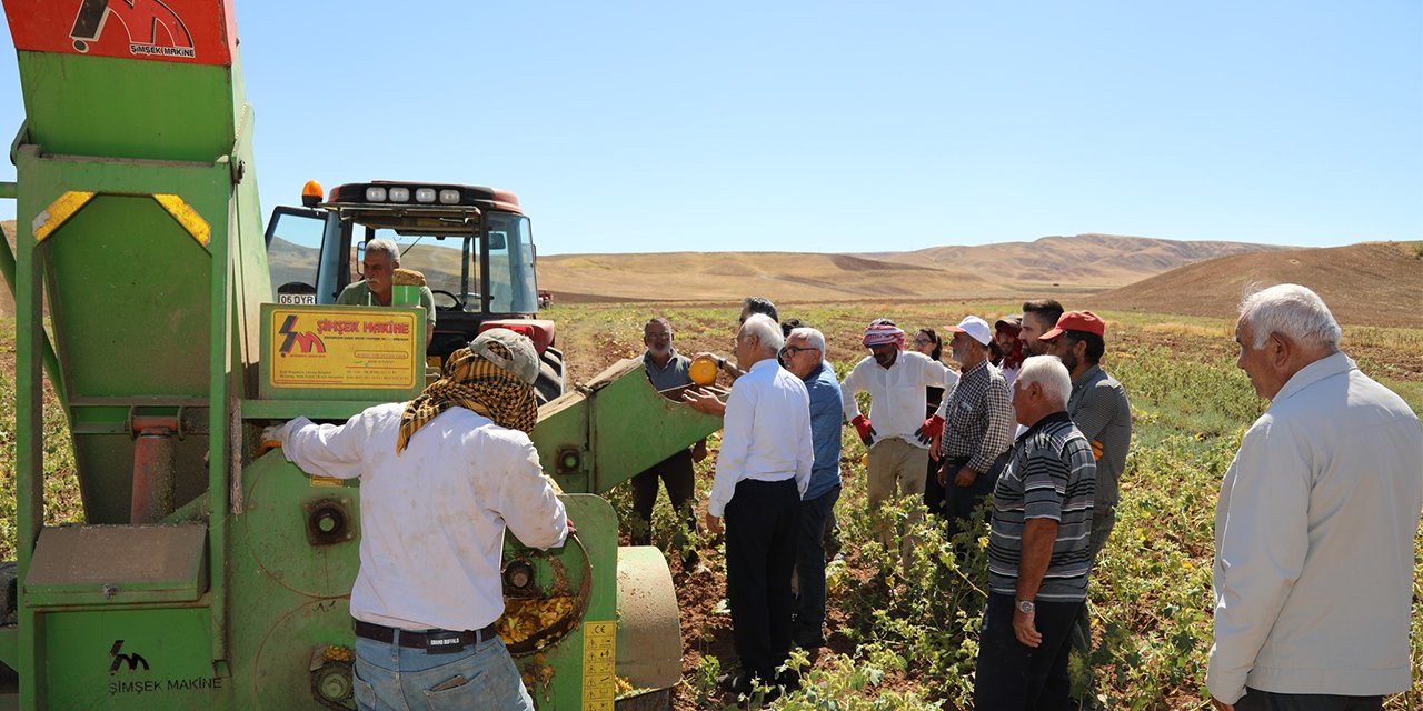 Tarım ÜFE Aralık ayında yüzde 6,34 artış gösterdi