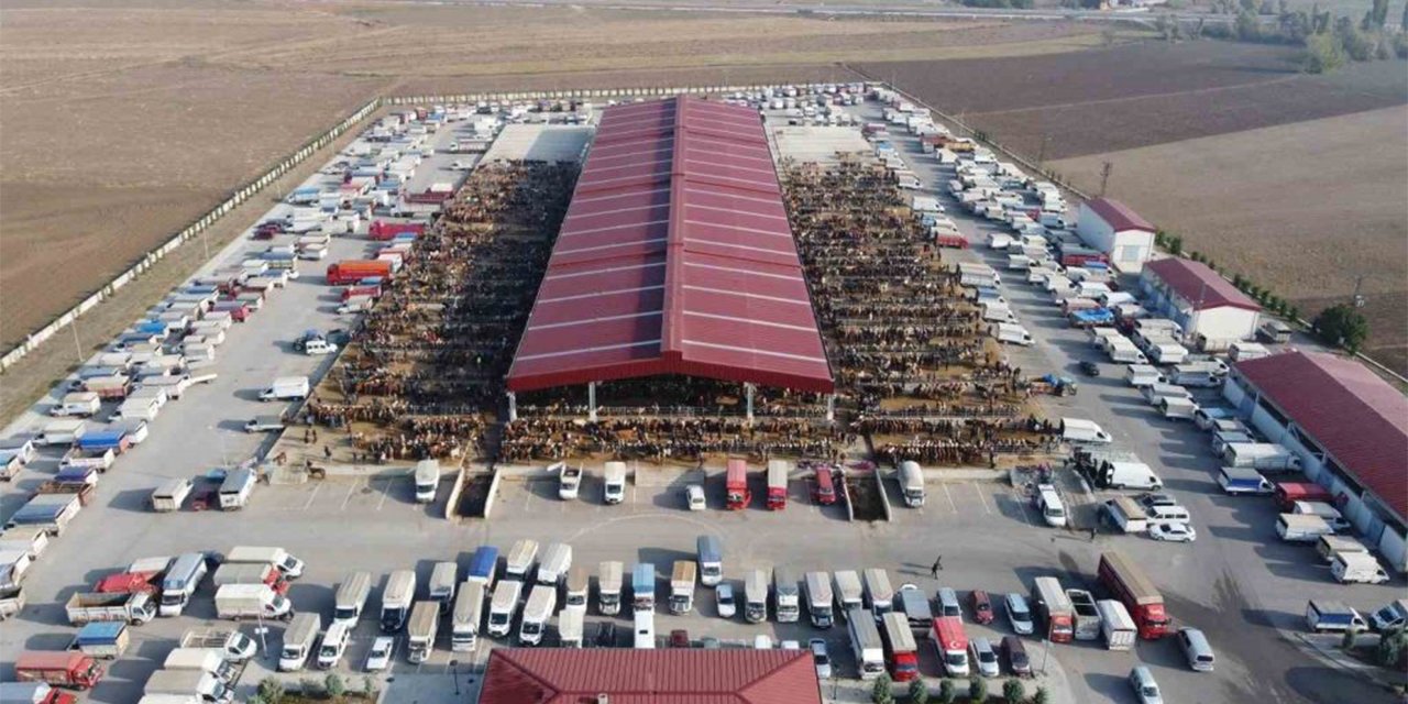 Çorum’da hayvan pazarı geçici olarak kapatıldı