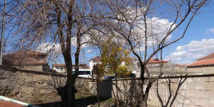 Büyükincirli köyünde incirin yalnızca adı kaldı