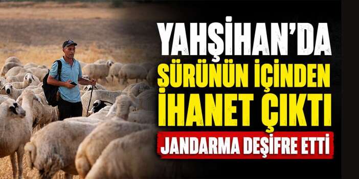 Çobanın hırsızlarla kurduğu planı jandarma deşifre etti