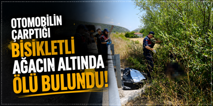 Otomobilin çarptığı bisikletli ağacın altında ölü bulundu, kaçan sürücü kısa sürede yakalandı