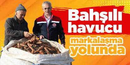 Bahşılı havucu markalaşma yolunda