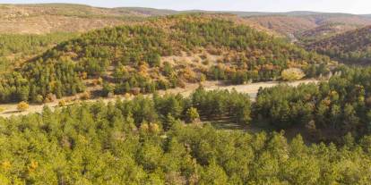 Kırıkkale’de sonbahar güzelliği