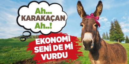 Kırıkkale’de sosyal medya ‘Karakaçan’ı konuşuyor