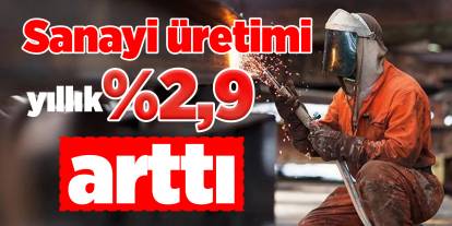 Sanayi üretimi yıllık %2,9 arttı