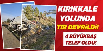 Kırıkkale yolunda TIR devrildi! 4 büyükbaş telef oldu!