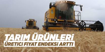 Tarım ürünleri üretici fiyat endeksi arttı