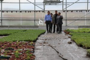 Çiçeklerle Kırıkkale’yi Renklendireceğiz - Kırıkkale Haber, Son Dakika Kırıkkale Haberleri Çiçeklerle Kırıkkale’yi Renklendireceğiz - Kırıkkale Haber, Son Dakika Kırıkkale Haberleri