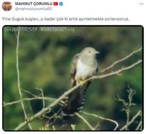 Mahmut Çorumlu, kendisini hedef alan FETÖ'cü hesapları guguk kuşuna benzetti - Kırıkkale Haber, Son Dakika Kırıkkale Haberleri Mahmut Çorumlu, kendisini hedef alan FETÖ'cü hesapları guguk kuşuna benzetti - Kırıkkale Haber, Son Dakika Kırıkkale Haberleri