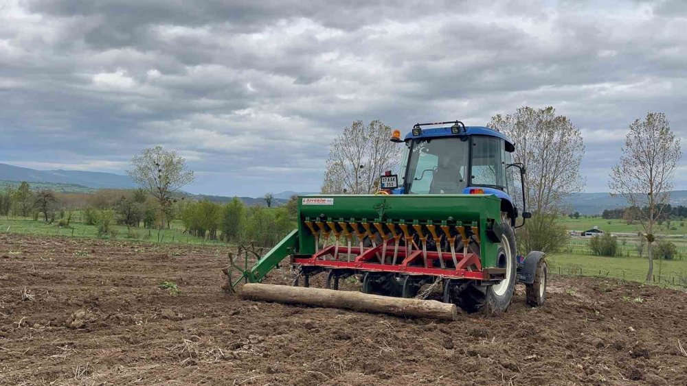 Çölyak hastalarının vazgeçilmezi karabuğday toprakla buluştu