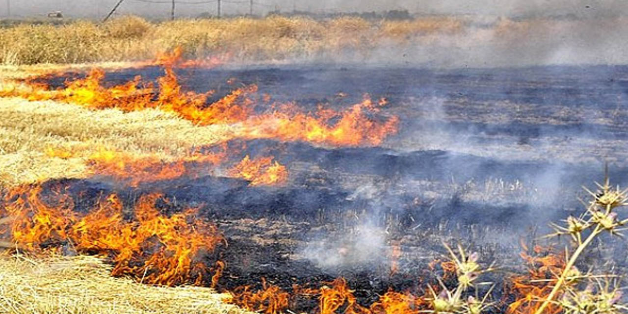 sicaklarda-aniz-yanginlarina-dikkat2.jpg