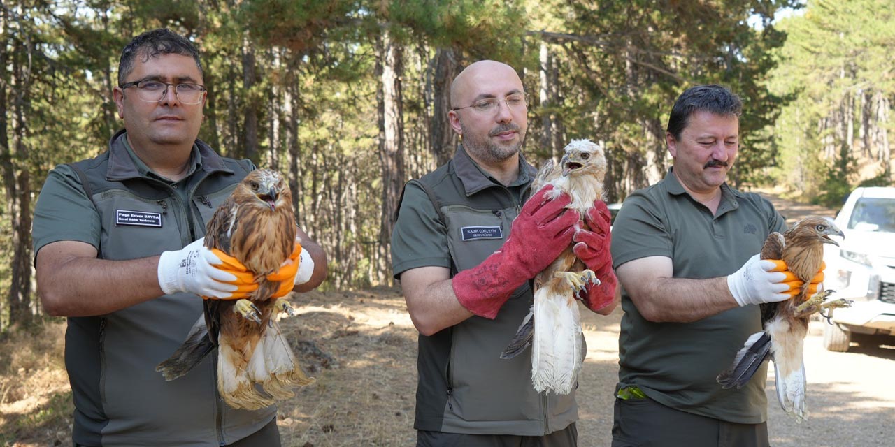 dkmp-76-bin-yaban-hayvanini-dogaya-kazandirdi-2.jpg