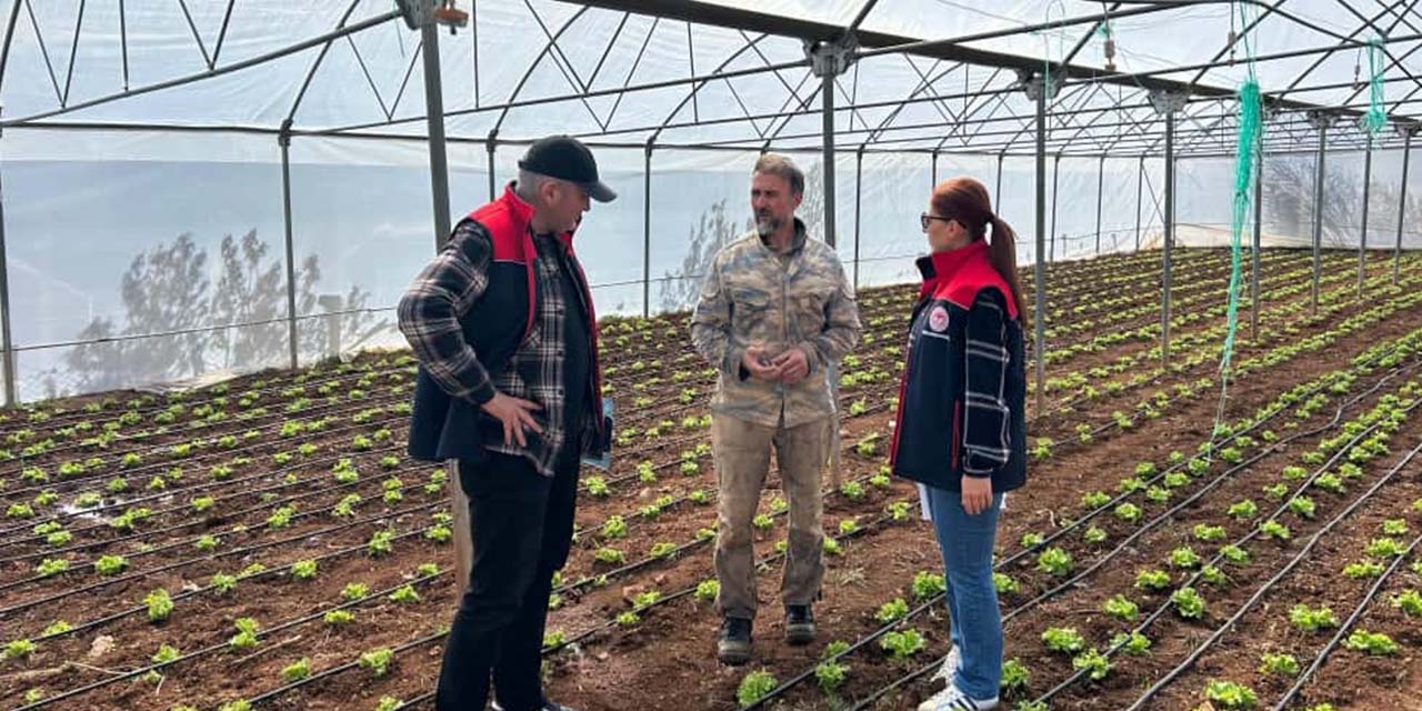 sebze-uretimini-gelistirme-projesi-ilerliyor1.jpg