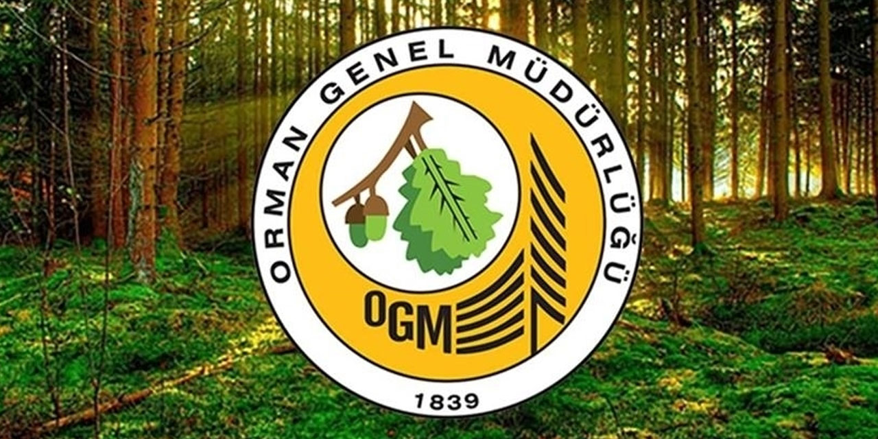 orman-gnel-mudurlugu.jpg